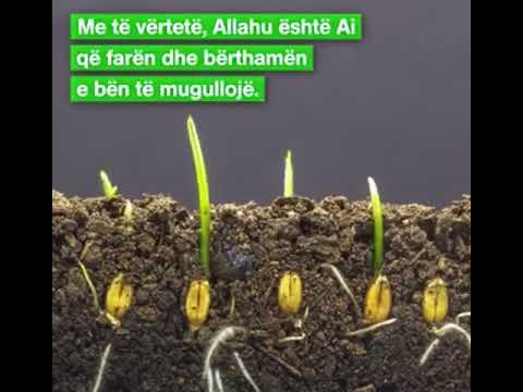 KY ËSHTË ALLAHU!