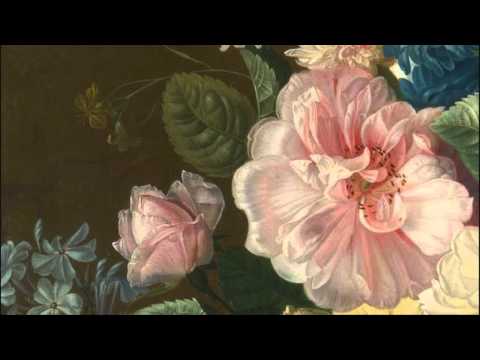 G. Ph. Telemann: TWV 51:E1 / Concerto for flute, strings & b.c. in E major / Pratum Integrum