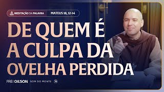 De quem é a culpa da ovelha perdida | (Mateus 18, 12-14) #2554 | Meditação da Palavra