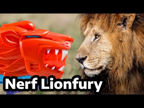 Nerf Lionfury Review