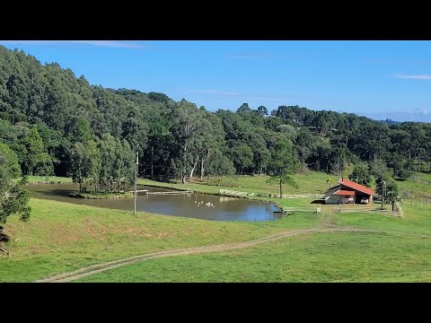 Linda Fazenda à Venda em Anita Garibaldi/SC. 