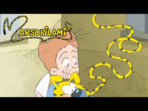 Marsupilami : Season 2, Episode 7 - Invention Tension ⚡