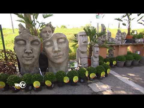 Das Garten-Paradies: Garten-Center Konrath in Leobersdorf