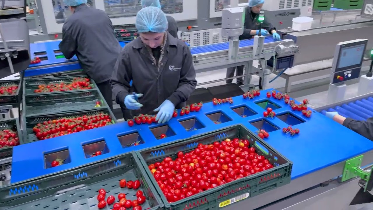 Greenpack - Polyweighr Lines