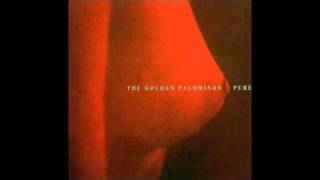 Golden Palominos &quot;Rain Holds&quot; (Montage)