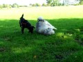 Lizzy Rolt In Iets Vies Mov