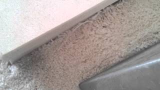 CarpetCleaningPL Truckmount Steam Carpet Cleaning London Surrey 
