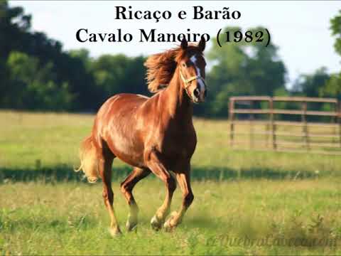 Cavalo Maneiro - Ricaço e Barão