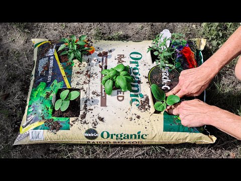 One Bag, Whole Garden: Soil Experiment Success Story
