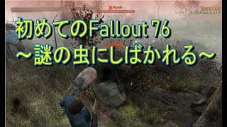 #1【Fallout 76】近未来の生物にしばかれたぞ！