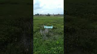 Download lagu ternyata bikin video itu repot banget dan hasilnya itu ajah omg, mp3