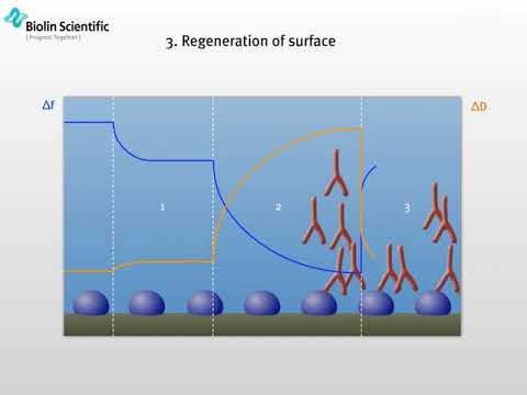 QCM-D | QCMの進化型であるQCM-Dについてご紹介します