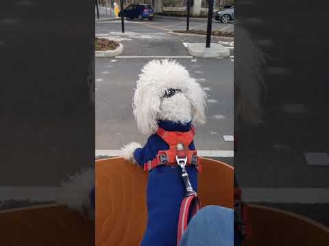 Medlock street & Princess road roundabout, Manchester