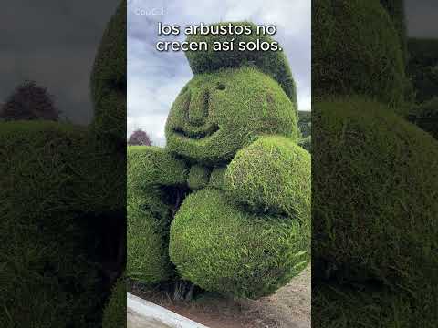 ¿Conocías este parque escondido en Tungurahua? 🌳