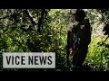 Documentary Crime - The Missing 43: Mexico's Disappeared Students
