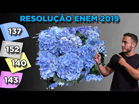 ⚫ Question 137 - Blue Booklet | Logarithm | MATHEMATICS ENEM 2019