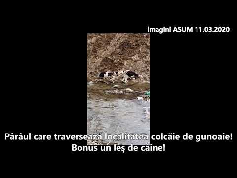 Satul Araci -Comuna Vâlcele! 11 03 2020