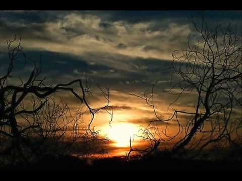 Ierusalim Psalmul 116