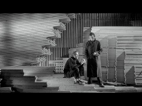 Meeuwen sterven in de haven | Avila, present!