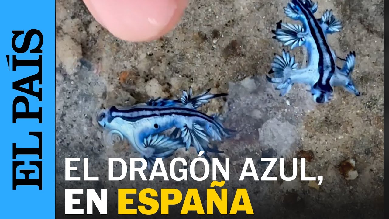 youtube video id=0jvAjlOP3dA