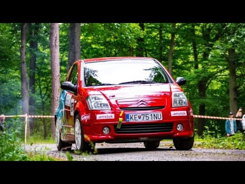 Rally Bzenov 2022 | Onboard | Sebastian Greisiger |