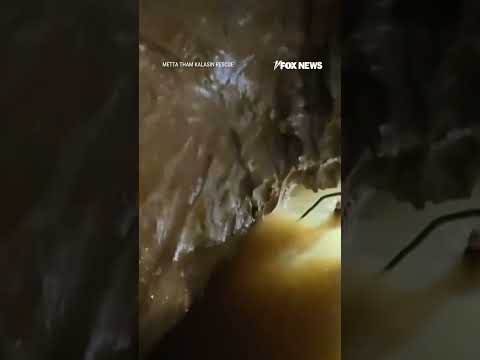 WATCH: Rescuers break down in tears after saving people trapped inside flooded cave  #fox #media #