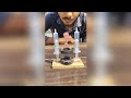 Respect Magnet Jump Experiment Science Experiment Tiktok