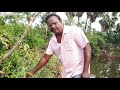 Anaithu Selvangalayum Alli Kodukkum Pei Viratti Mooligai