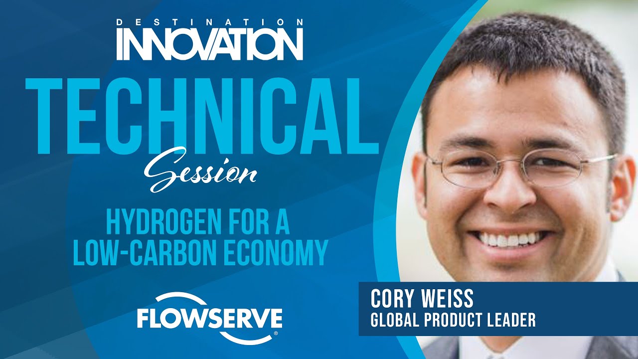 Hydrogen For a Low-Carbon Economy | Flowserve