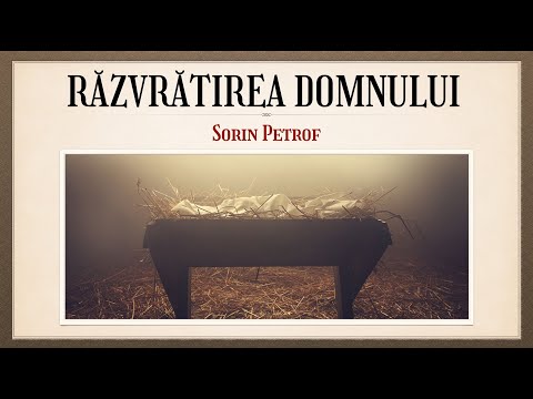 Nebunia Crucii: 18.  Răzvrătirea Domnului - Sorin Petrof