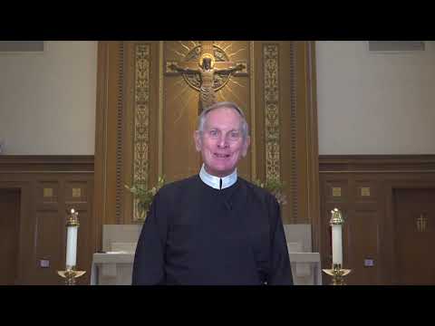 Fifteenth Sunday in Ordinary Time