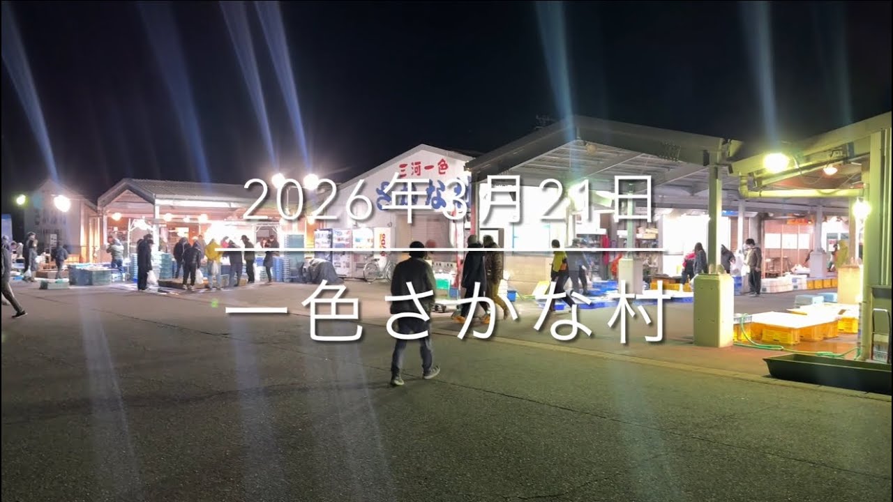 【日本一の魚市場】愛知の市場はココが凄い【見逃し厳禁】『一色さかな村