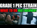 PEC STRAIN/PULL HOW TO REHAB AND SPEED RECOVERY