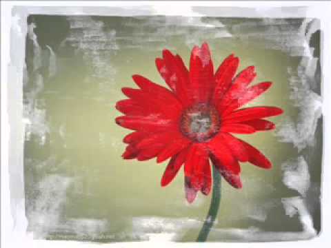 كلمات الاغنية 