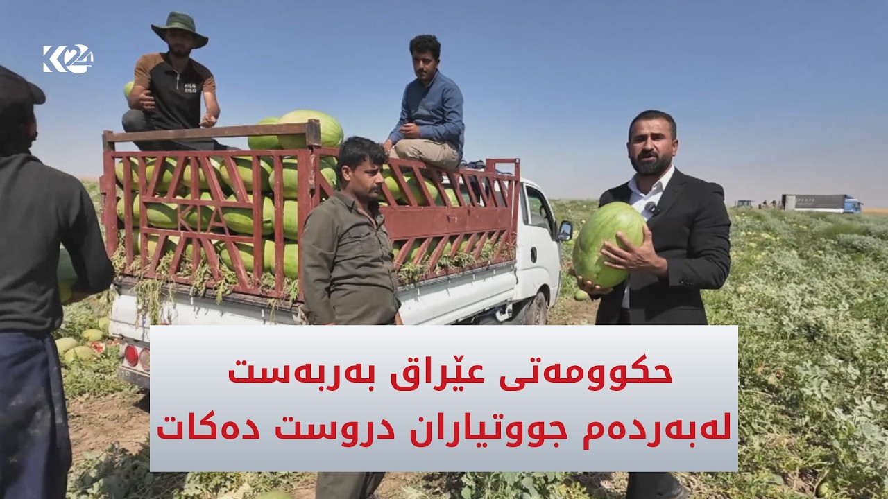 ڤیدیۆ | رێگەنادرێت بەرهەمی شووتى پردێ ببرێتە بازاڕەكان