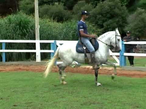 Lote 31   Orquestra J D B