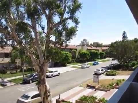 PL6026 - Modern 1 Bed + 1 Bath Apartment For Rent (West Los Angeles, CA).