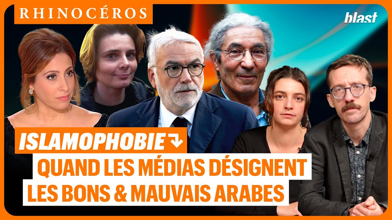 🦏 ISLAMOPHOBIE : QUAND LES MÉDIAS FRANÇAIS DÉSIGNENT LES BONS ET MAUVAIS ARABES