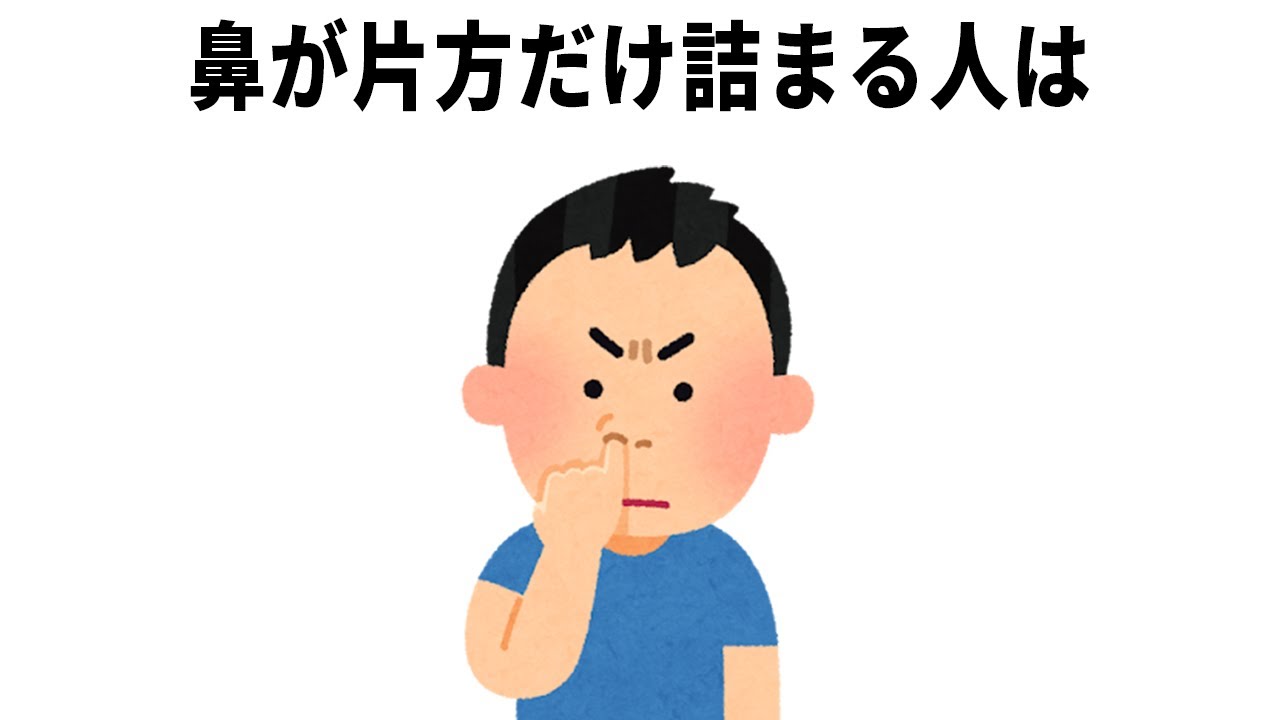 【作業用・睡眠用】誰かに話したくなる雑学337