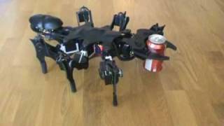 Luckily, it appears that the Robot Ant has so far only learned to use his deadly jaws to pour his masters a drink...so far.