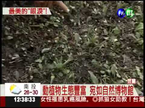 宜蘭自來水廠 流出"情人的眼淚"!