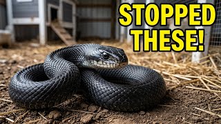 I Tested 4 Snake Repellents—Here's What Stopped Them