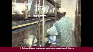 Rabbit meat craze hits South Africa