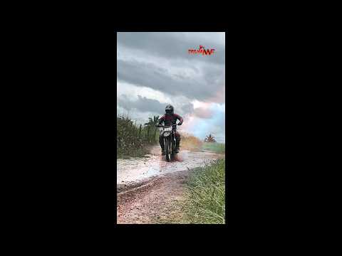 TRILHA MF 2026 - SÃO DOMINGOS DO MA.