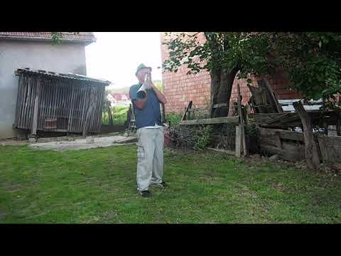 Calling the sheep – Țara Oașului – Romanian Collection