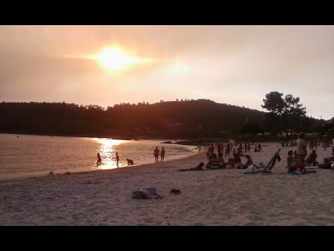 Grandes Orquestas   Música Maravillosa Para Gente Maravillosa   Vol  8