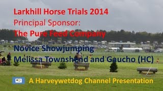preview picture of video 'Melissa Townshend: British Eventing Larkhill Horse Trials 2014'