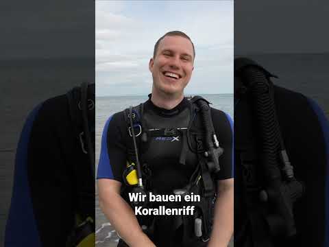 And this is how you build a coral reef