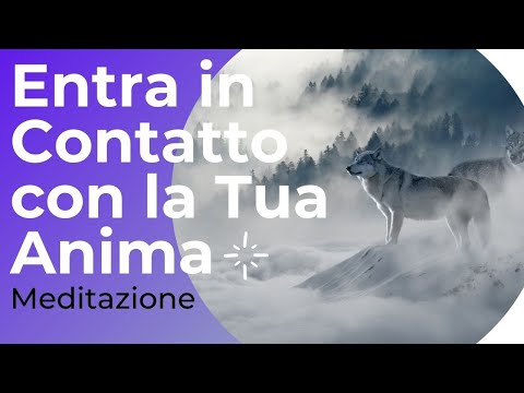 Get in Touch with Your Soul - Meditation