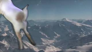 fainting goat shooting stars dank meme 2017